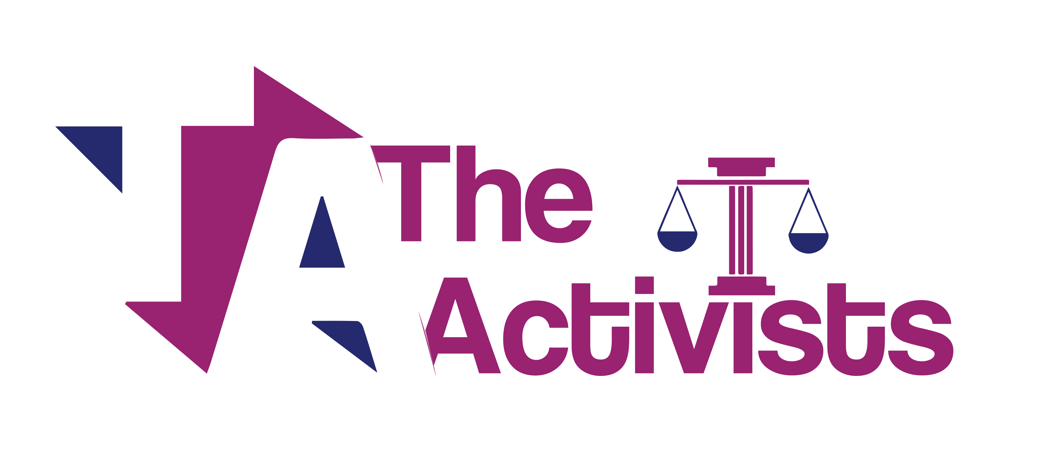 THE ACTIVISTS